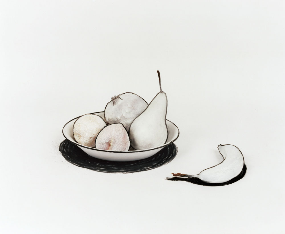 Nature Morte